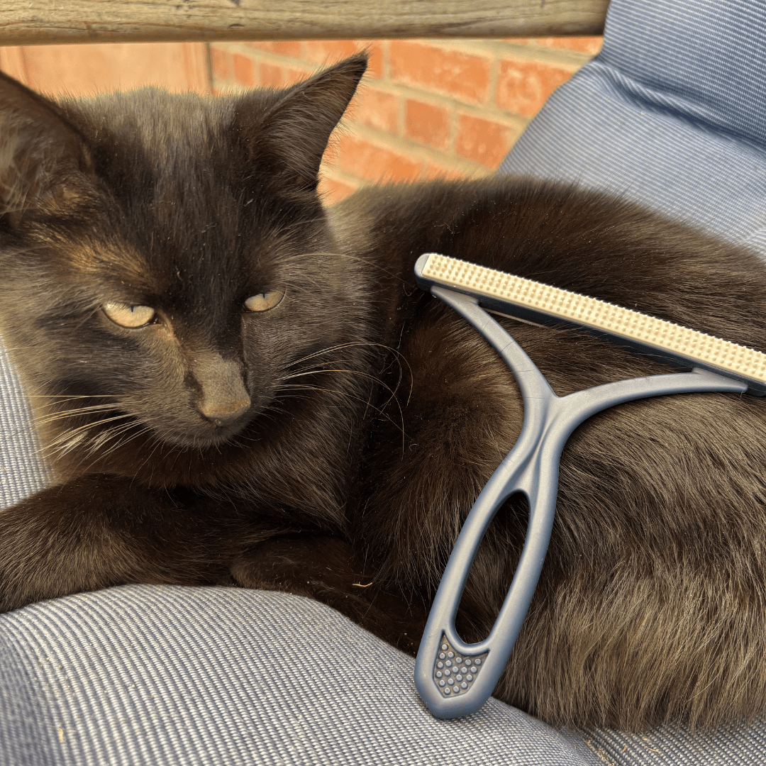 Miau Moment - Tier Haar Entferner - Miau Moment