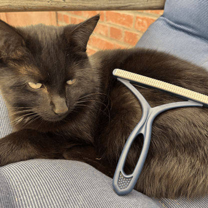 Miau Moment - Tier Haar Entferner - Miau Moment