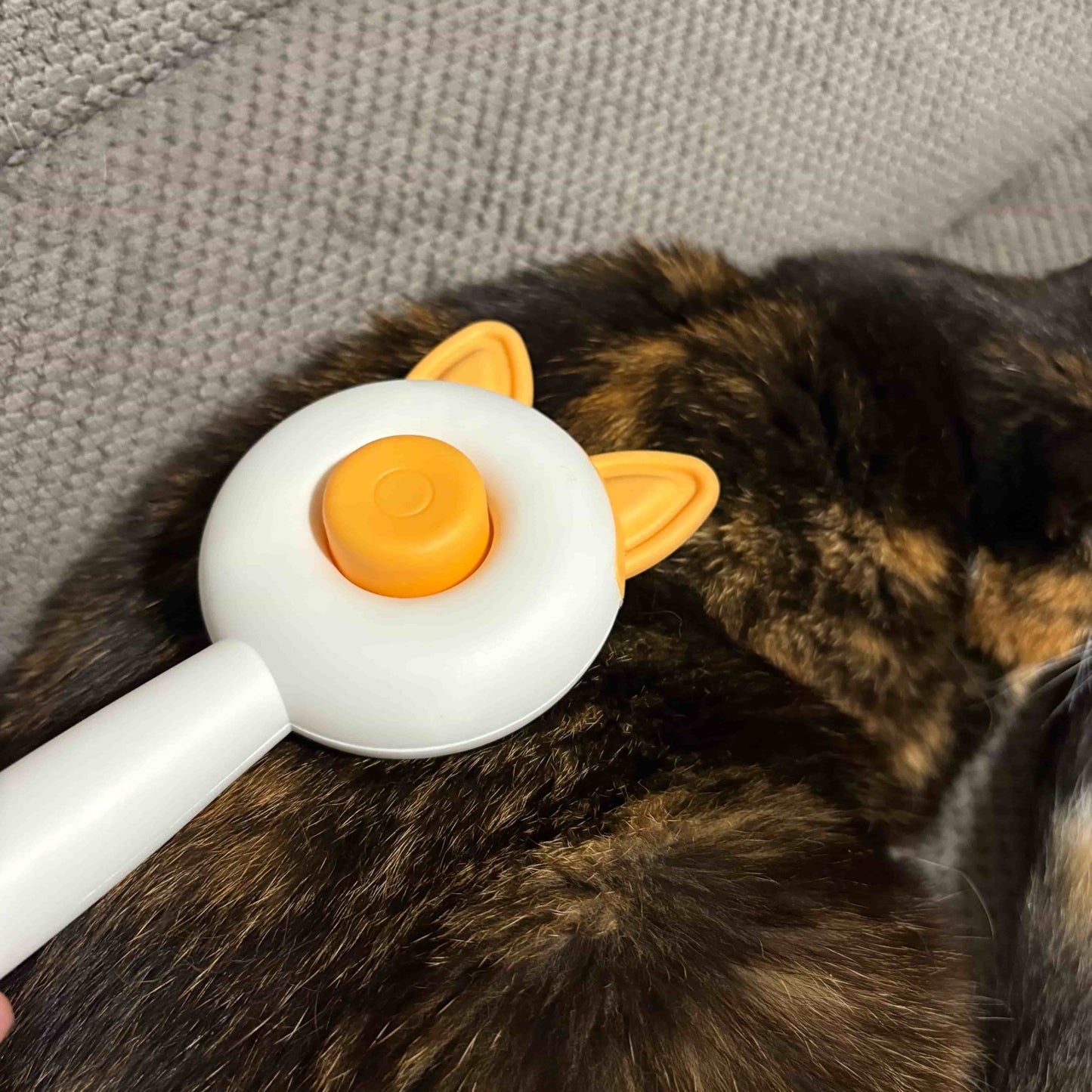 Selbstreinigende Katzenbürste – Fellpflege auf Knopfdruck - Miau Moment