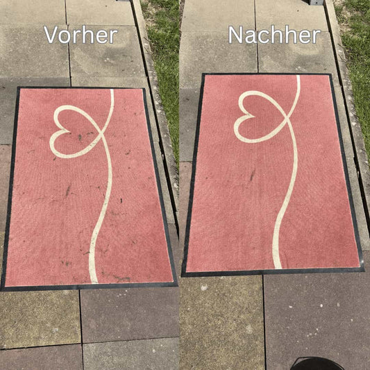 Tierhaarentferner – Katzen & Hundehaare einfach entfernen - Miau Moment